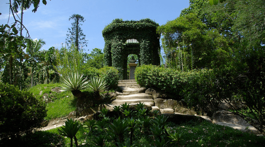 The Jardim Botanico, located in Rio de Janiero in Brazil
