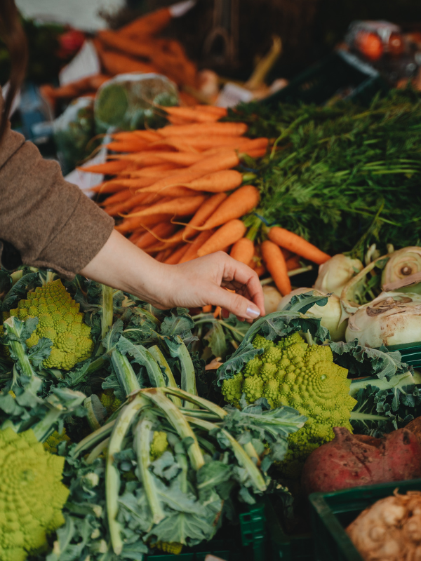 Houston Farmers Market