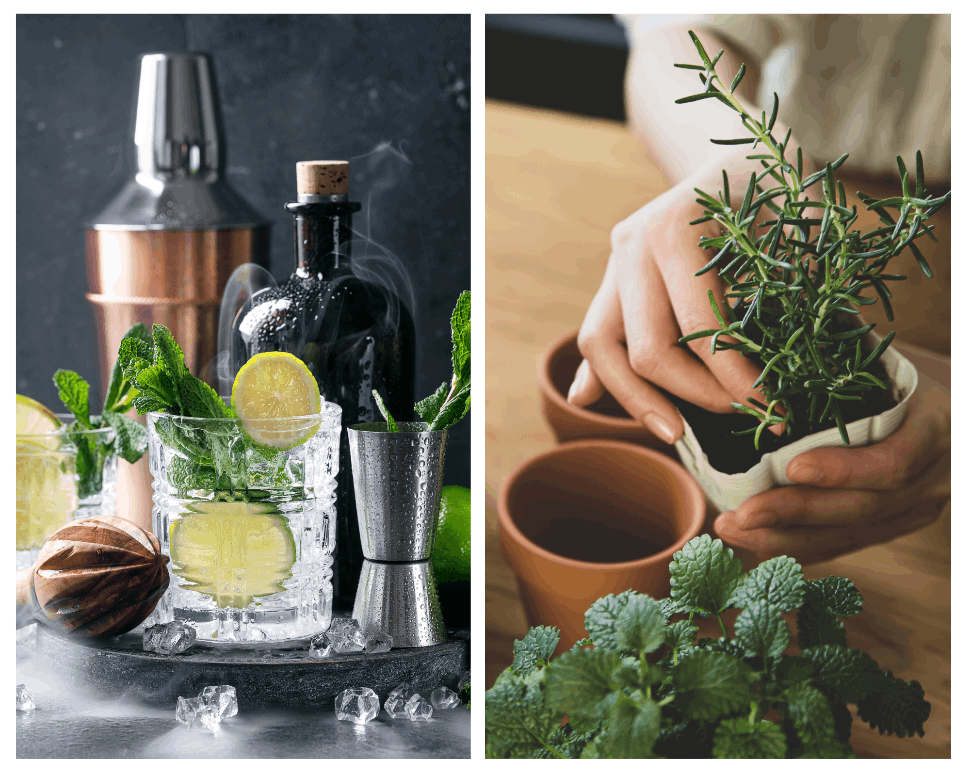 take your home bar outside with the perfect setup and an herb garden