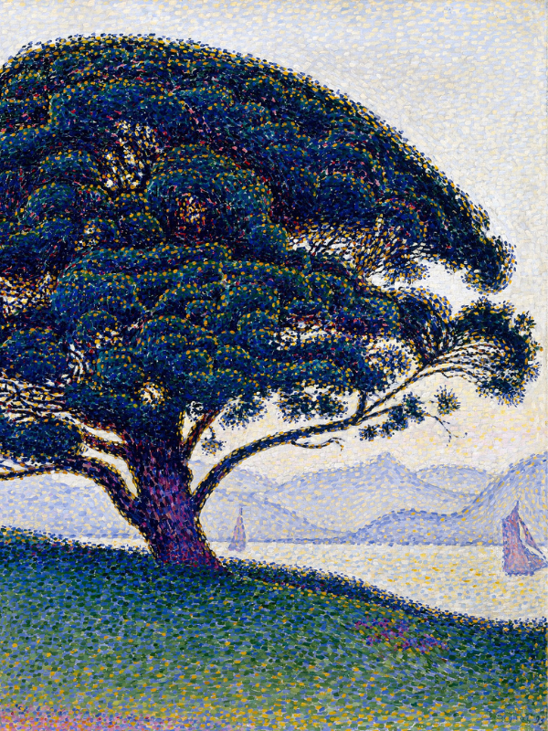 Paul Signac, The Bonaventure Pine