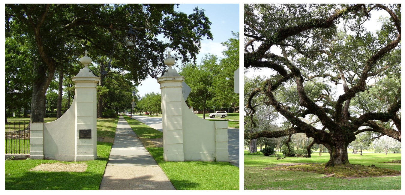 The historic River Oaks neighborhood of Houston, Texas boasts hundred year old homes.